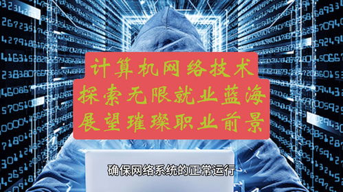 計算機網絡技術 探索無限就業藍海，展望璀璨職業前景